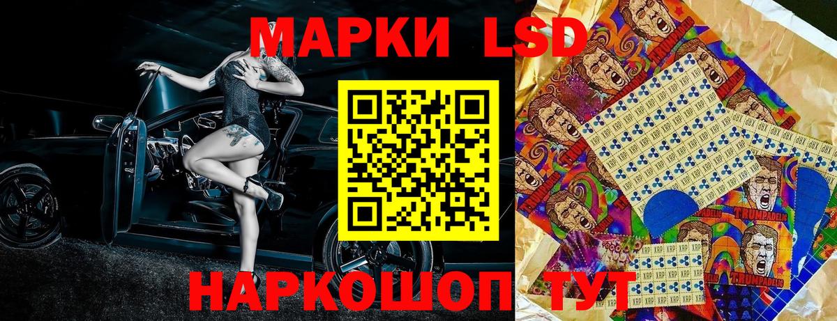 наркошоп  Наркотические марки 1500мкг  Вход с VPN  Наркотические марки 1500мкг  Новоалександровск 