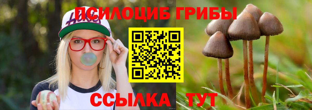 Новоалександровск  Галлюциногенные грибы Magic Shrooms  Вход с VPN 